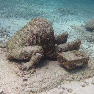 Meet your Posher, George